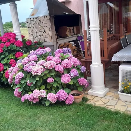 Apartment A5 Porec